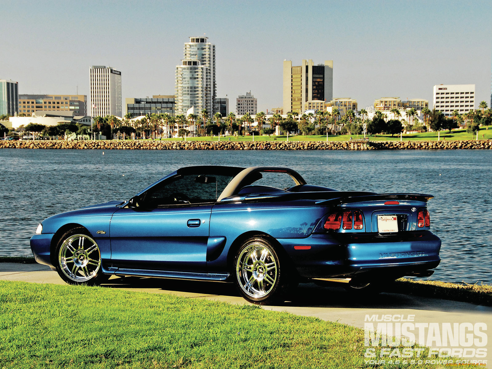 , mustang, got-my-muscle